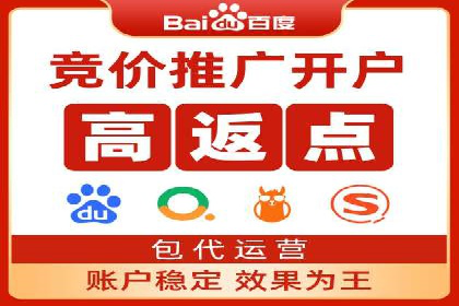 搜索引擎竞价推广实战：行业领先企业的成功秘诀